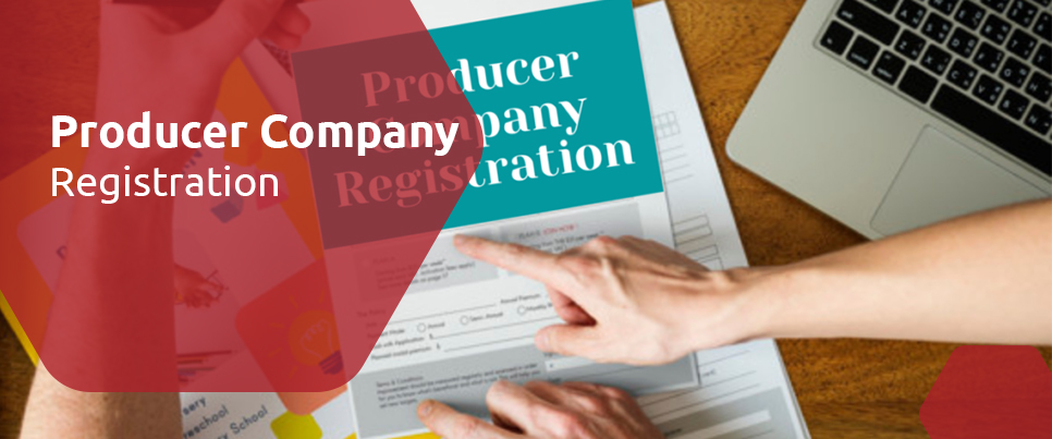 Company Registration producer